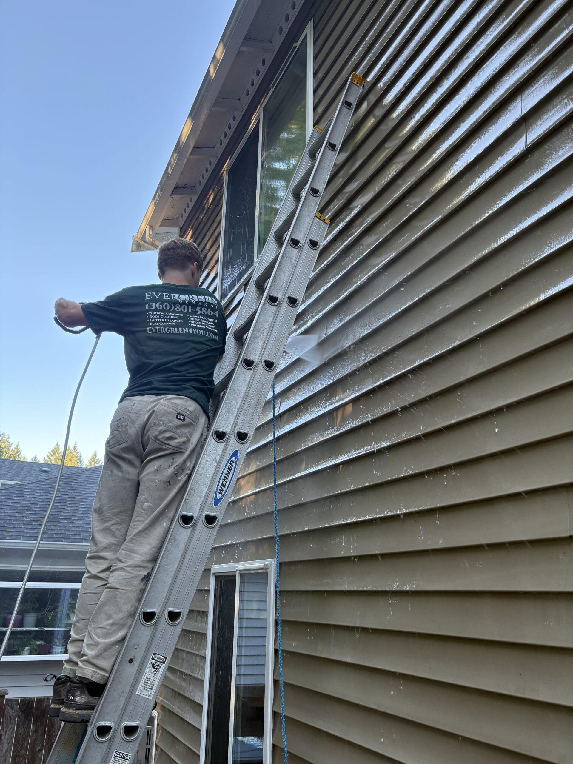 Evergreen pressure washing